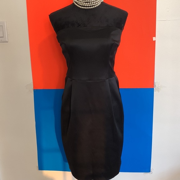 COPY - EXPRESS NEW Satin Dress - Picture 6 of 12